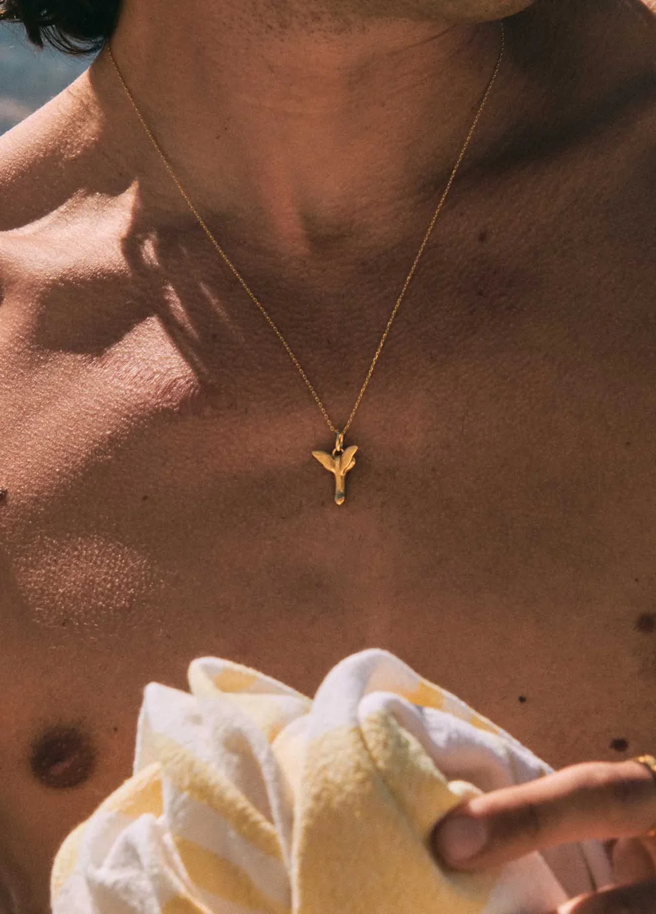 Imagen del producto 2